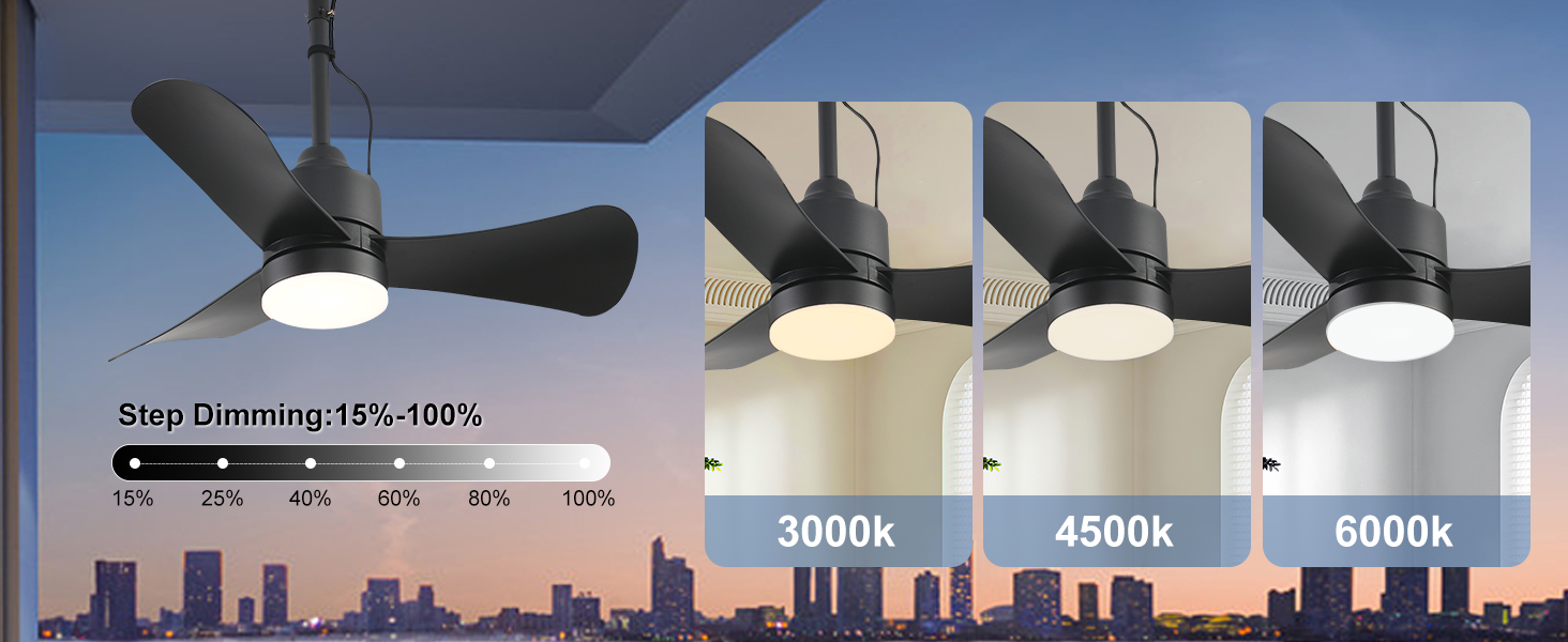 ceiling fan with light