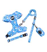blue dog collar harness leash set