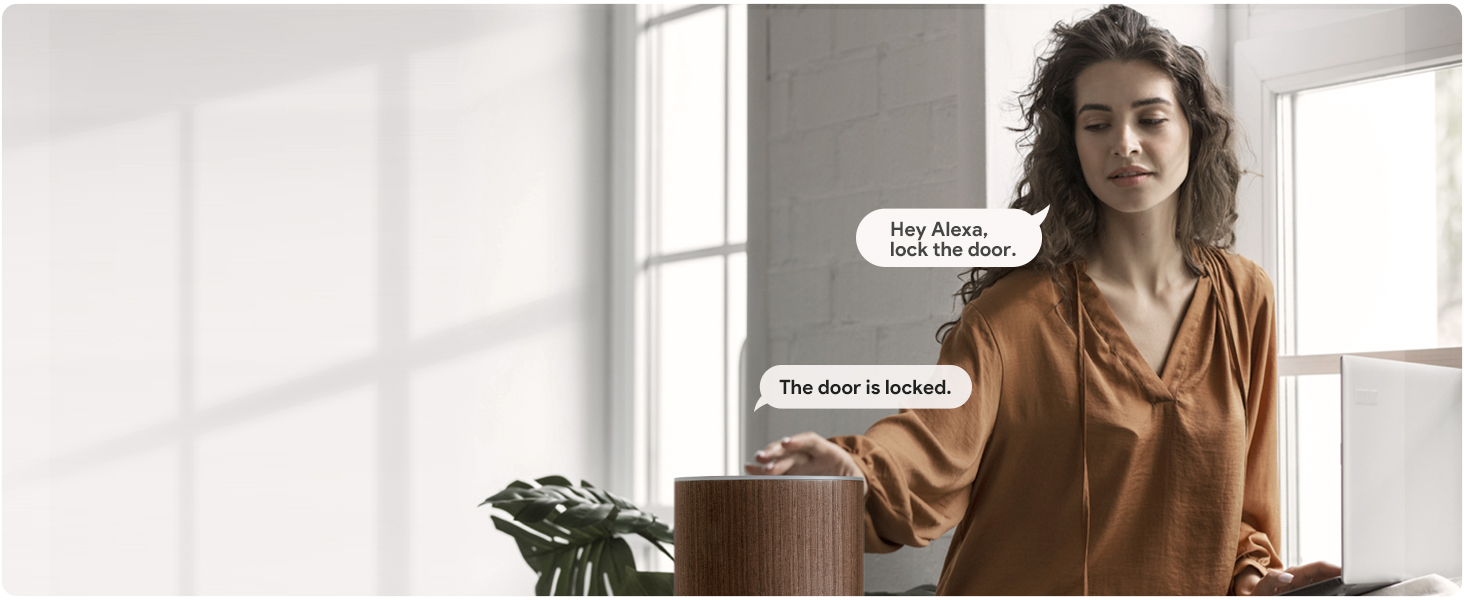 Voice Control