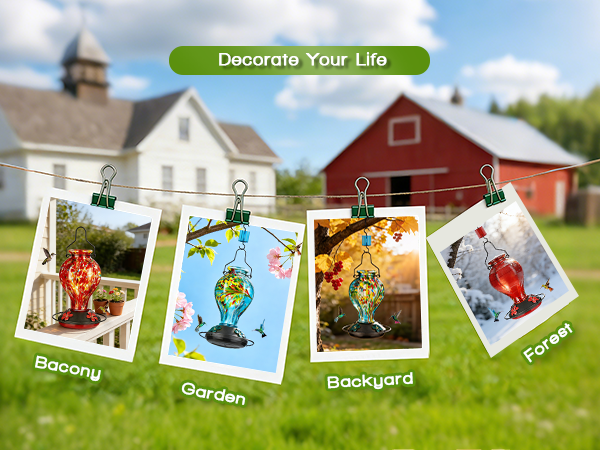 Vibrant Colors Enhancing Your Outdoor Spaces