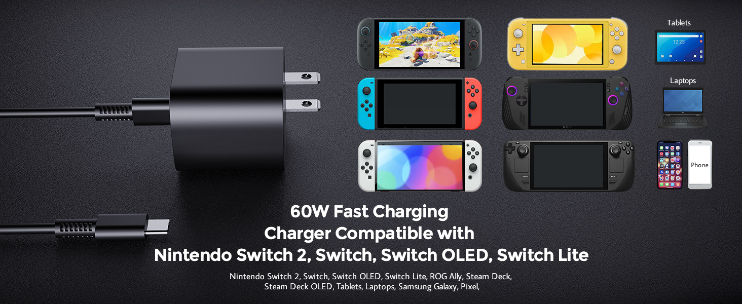 charger for switch2
