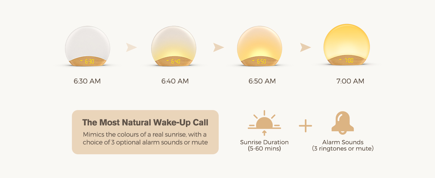 sunrise alarm clock