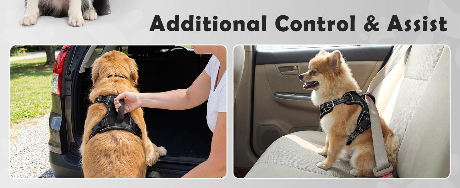 Text reads: 'Additional Control &amp; Assist'. Two images showing dog harness usage - one outdoors and one helping dog enter vehicle.