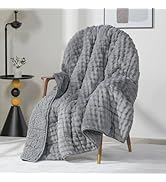 Cottonblue Weighted Blanket for Adults Queen Size 15 lbs, Soft Fuzzy Fleece Sherpa Weighted Throw...