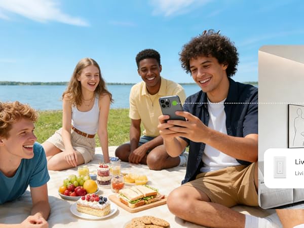 smart light single pole