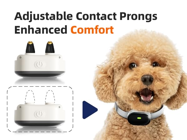 cat training collar small dog training collar small dog shock collar with remote control