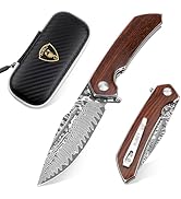 AUBEY Damascus Pocket Knife with Clip, Damascus Steel Blade Folding Knives with Ball Bearing, EDC...