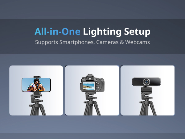 aro de luz profesional