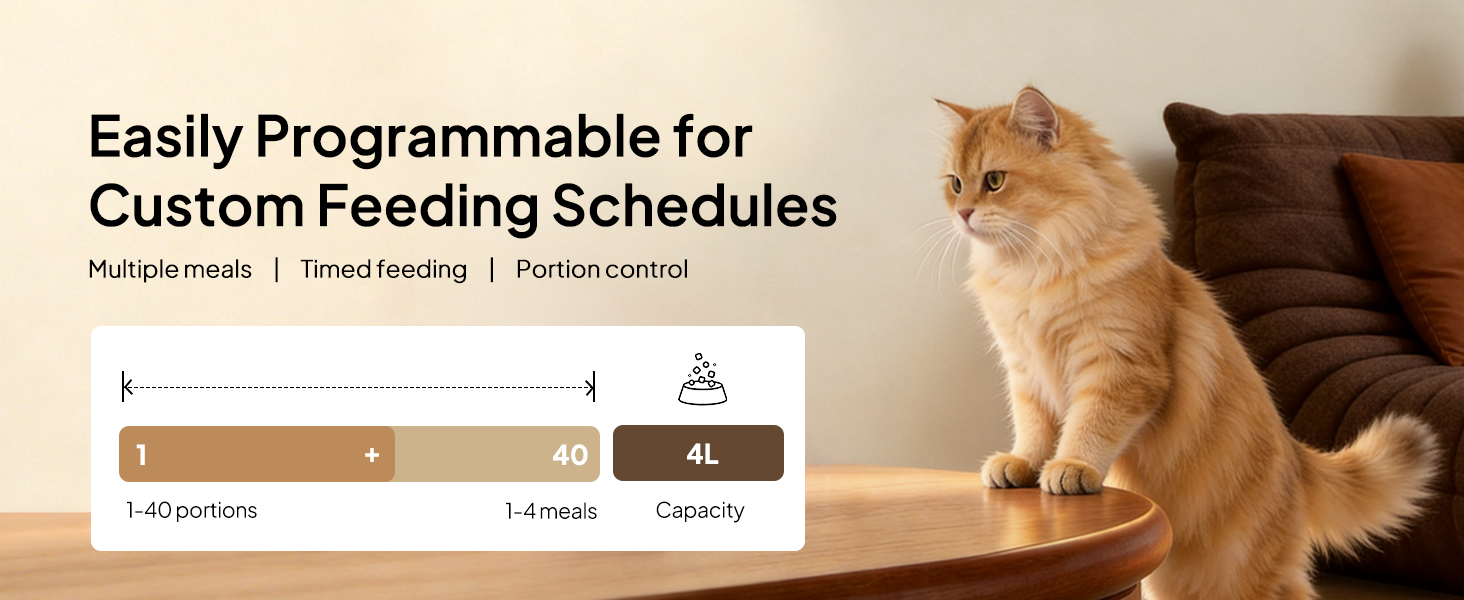 Automatic Cat Feeders