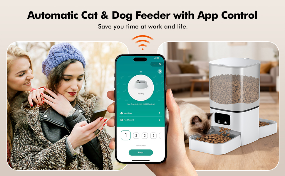 automatic cat feeder 2 cats