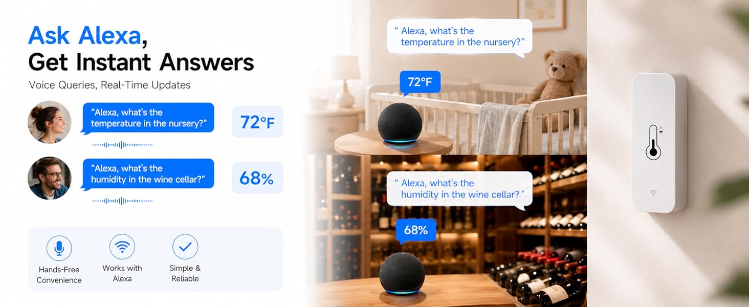 Alexa Thermometer