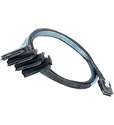 WENZIYAXU Mini SAS to SATA Cable, SFF-8087 36-Pin to 4X SFF-8482 29-Pin, Internal Data Connection...