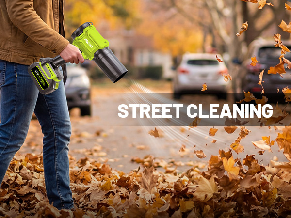 Cordless Leaf Blower