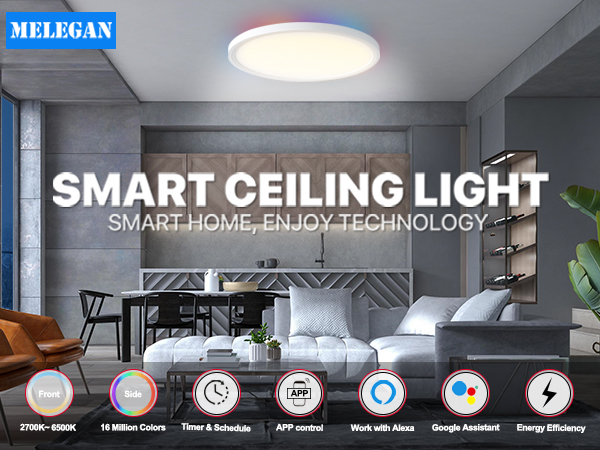 smart ceiling light