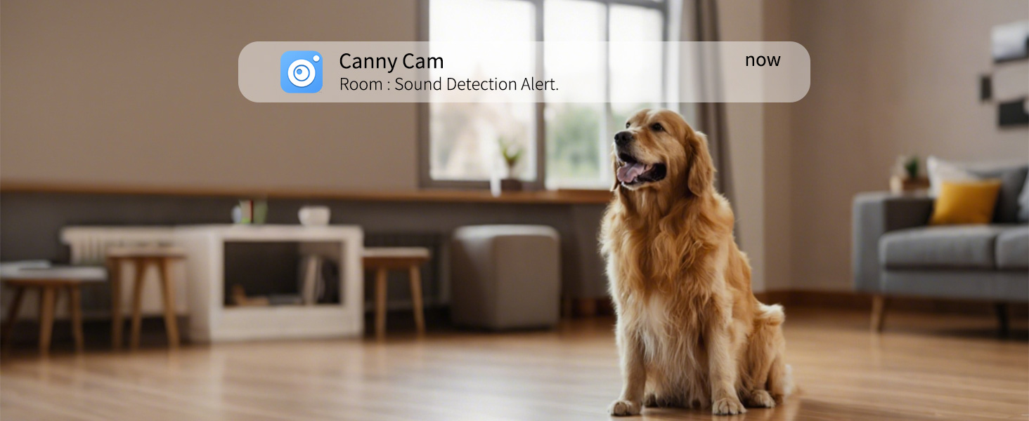 pet camera indoor with phone app, sound detection camera