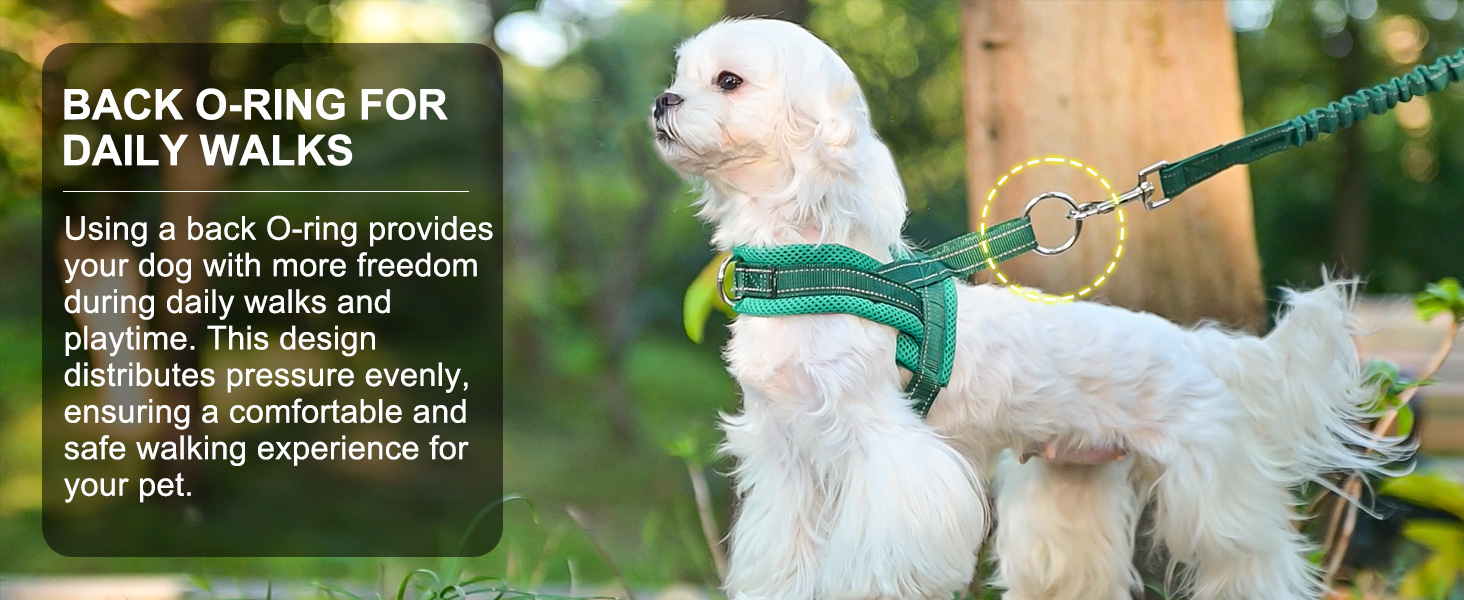 adjustable dog harness