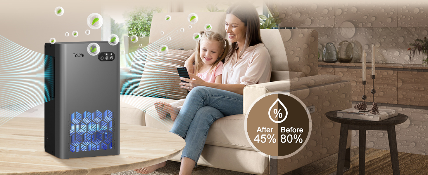 dehumidifiers for home