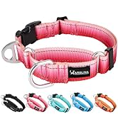 Arblina Martingale Collar for Dogs with UTX Buckle Reflective Ombre Nylon Dog Collar for No Pull ...
