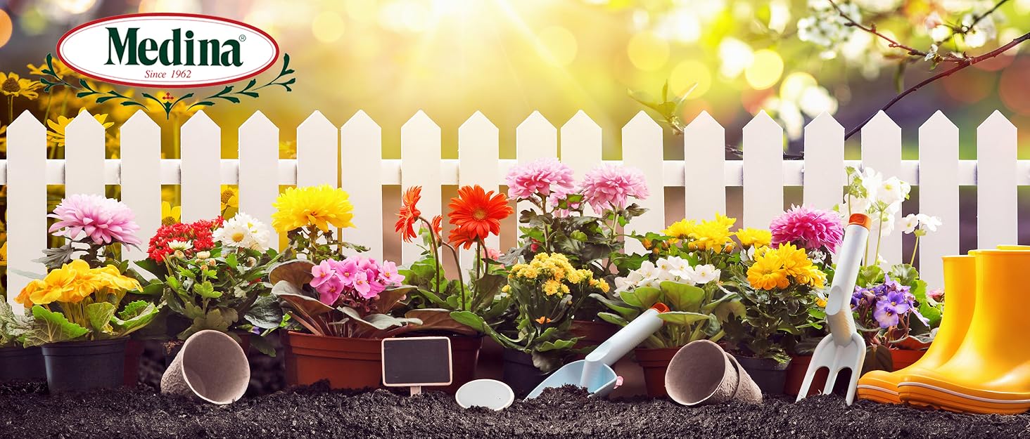 compost earth foliar fruit general mint plus powder products rapid roses lawn sulphur technology