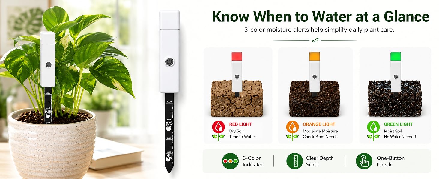 Know When to Water at a Glance