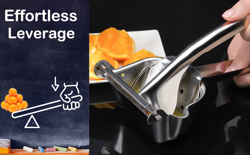 Stainless Steel Lemon Squeezer