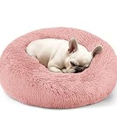 dog bed