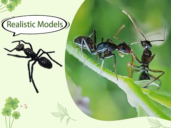 30bug