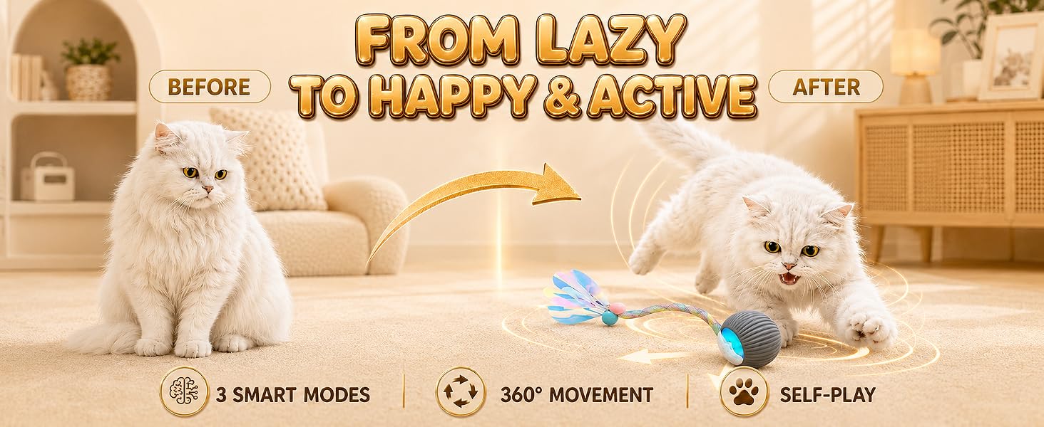 from lazy to happy and avtive indoor pet