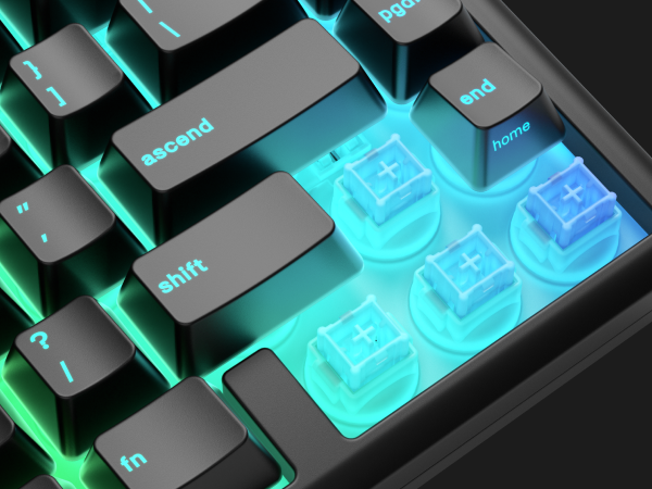 Silent Gaming Switches