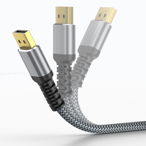 DisplayPort Cable 6ft