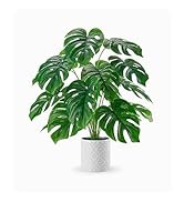 fake plant