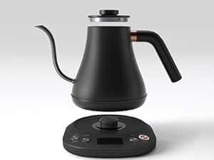 Electric Tea Kettle