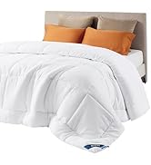 Bedsure Comforter Duvet Insert - Quilted Comforters Queen Size, All Season Duvet, GentleSoft Down...