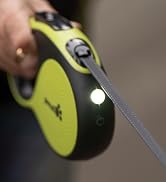 dog leash with lisght