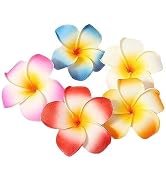 5Pcs Random 5cm Artificial Hawaiian Plumeria Flower Hair Clips Hair Accessories for Beach Fancy D...