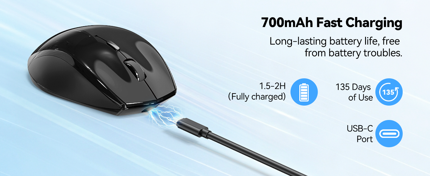 computer mouse