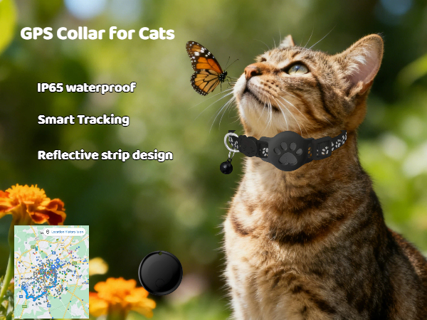 GPS Collar for Cats