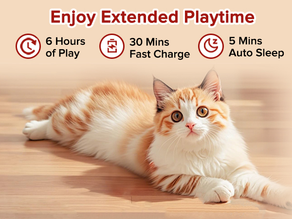 Interactive cat toy ball