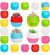 Elsjoy 30 Pack Mini Succulent Pot, 3 Inch Plastic Seed Starter Pots Small Cute Succulent Planter ...