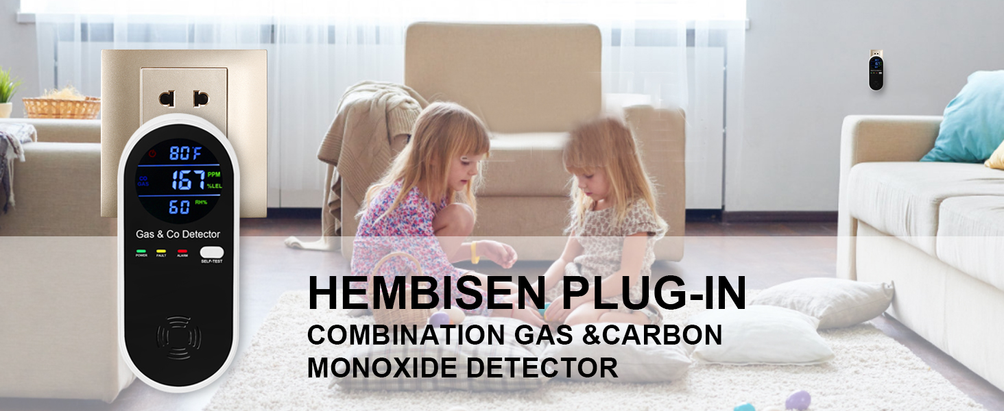 combination gas and carbon monoxide detector