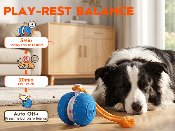 Interactive Rolling Dog Balls