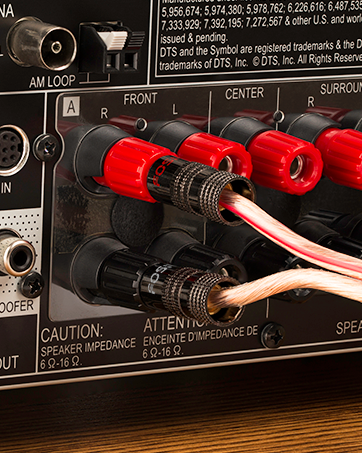 FosPower Speaker Banana Plugs