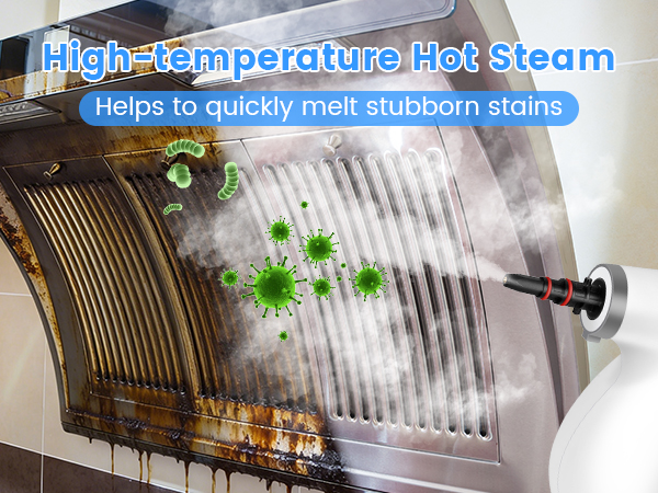 Handheld Pressurized Steam Cleaner