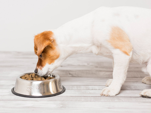 kitchen weight scale