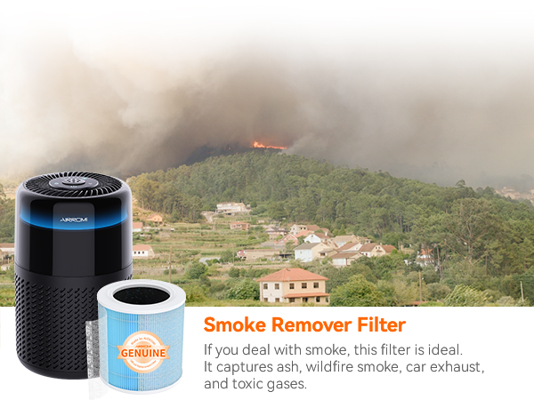 Air purifier filter