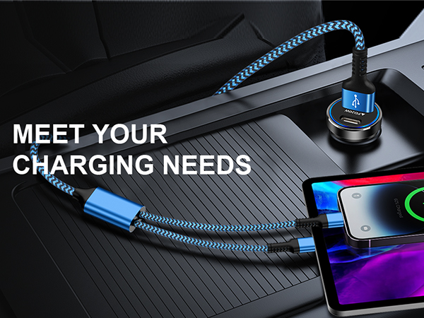 usb c and lightning cable 2 in 1