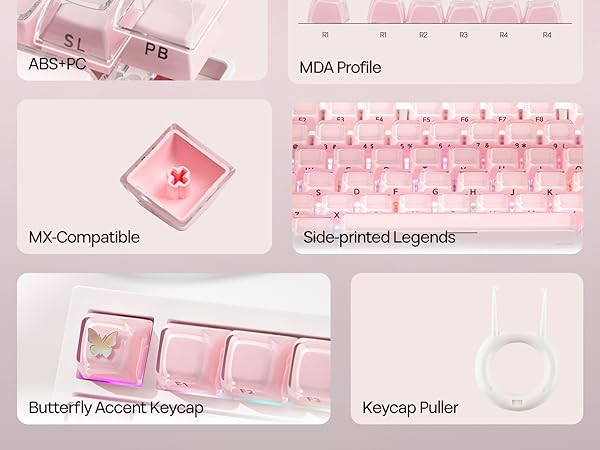 Lusterfly jelly kecaps set