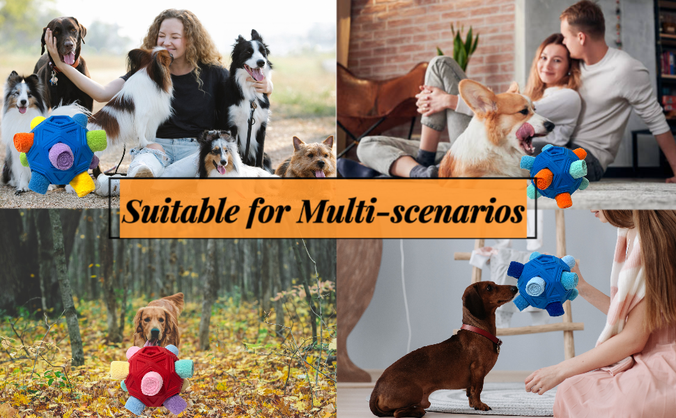 interactive dog toys for small large dog