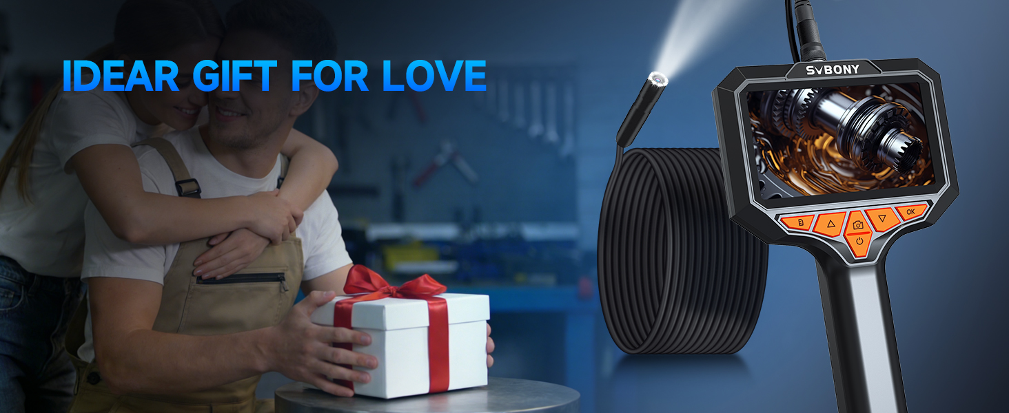 inspection camera with light