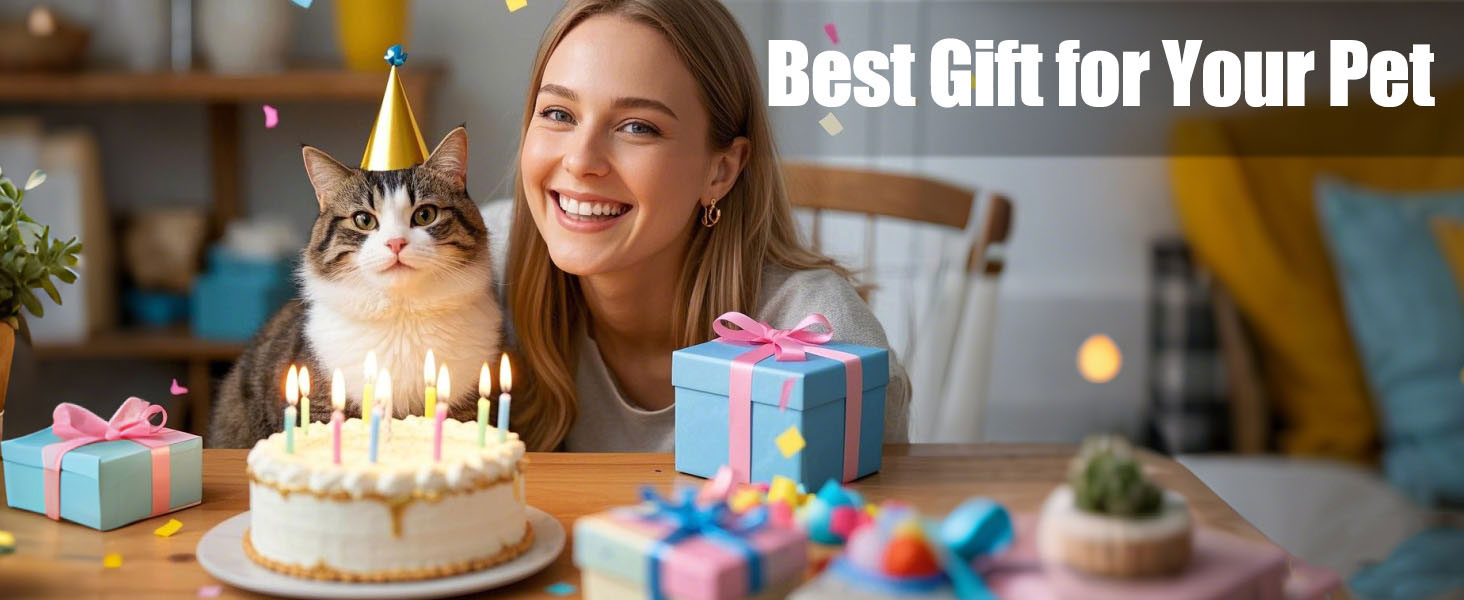 cat toy